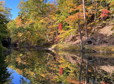 Fishkill Creek in District 23